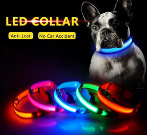 Glowing LED Dog Collar