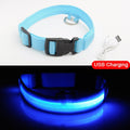 Glowing LED Dog Collar