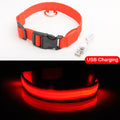 Glowing LED Dog Collar