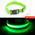 Glowing LED Dog Collar