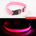 Glowing LED Dog Collar