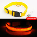 Glowing LED Dog Collar