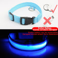 Glowing LED Dog Collar