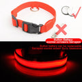 Glowing LED Dog Collar