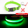 Glowing LED Dog Collar