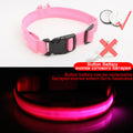 Glowing LED Dog Collar