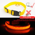 Glowing LED Dog Collar